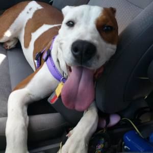 Meet your Posher, Terri